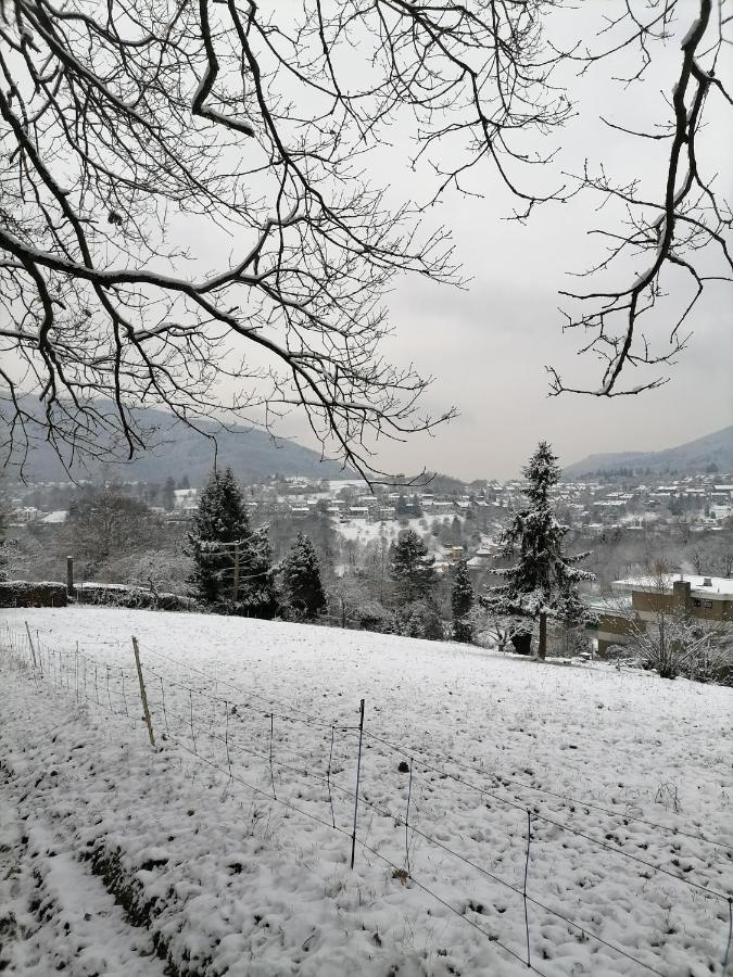 Desire Villa Heidelberg Buitenkant foto